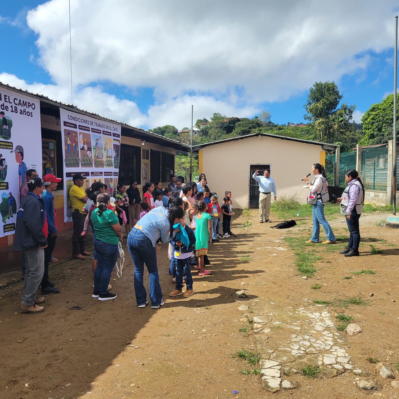 Actividad enero