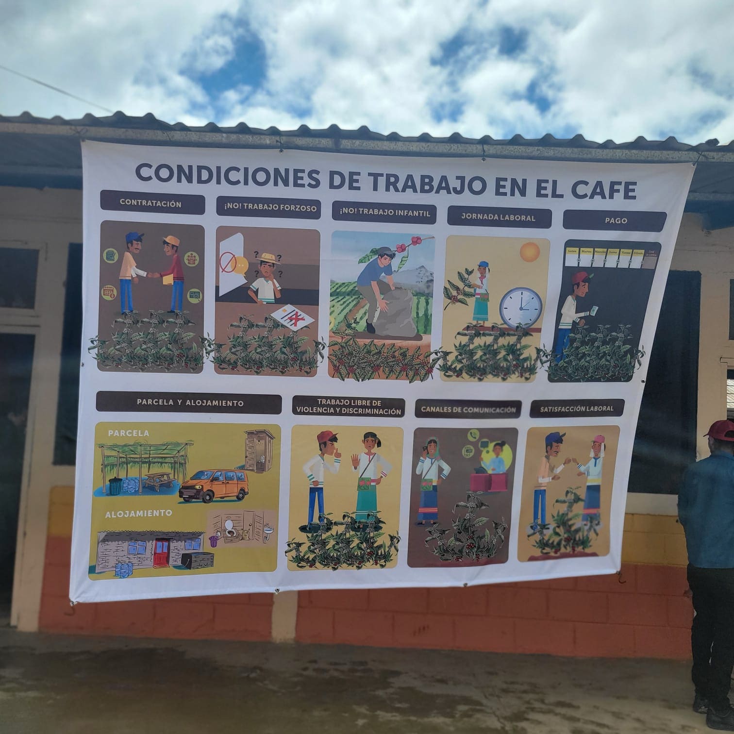 Actividad enero