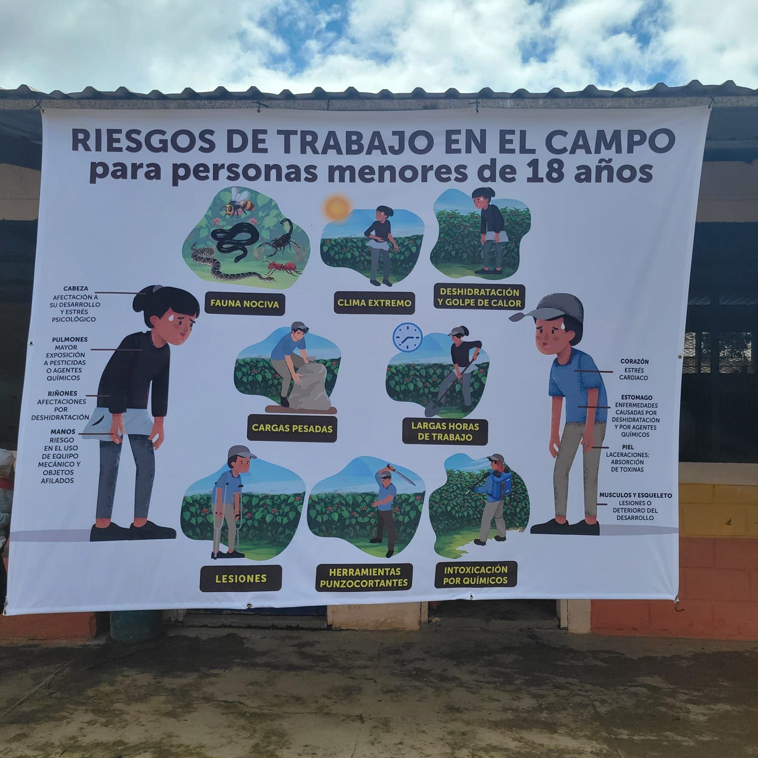 Actividad enero